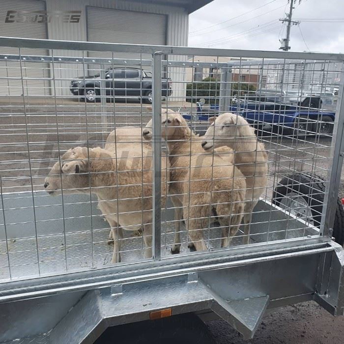 5x3 Trailer Cage